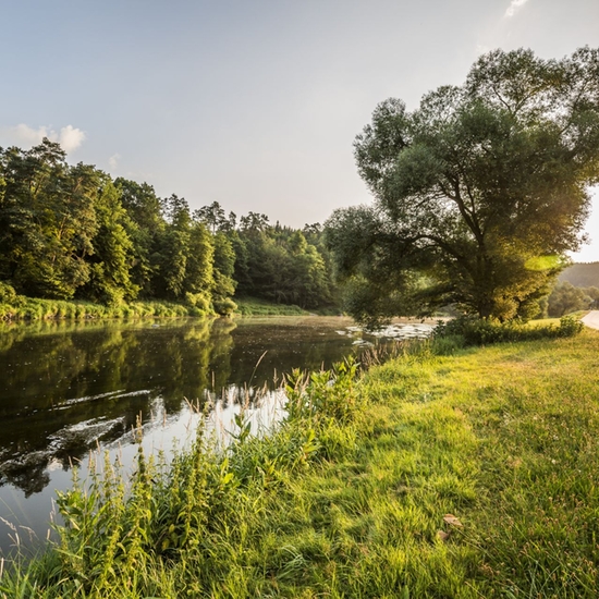 Folie Natur Landschaft Oberpfaelzerseenland Thomaskujat 3