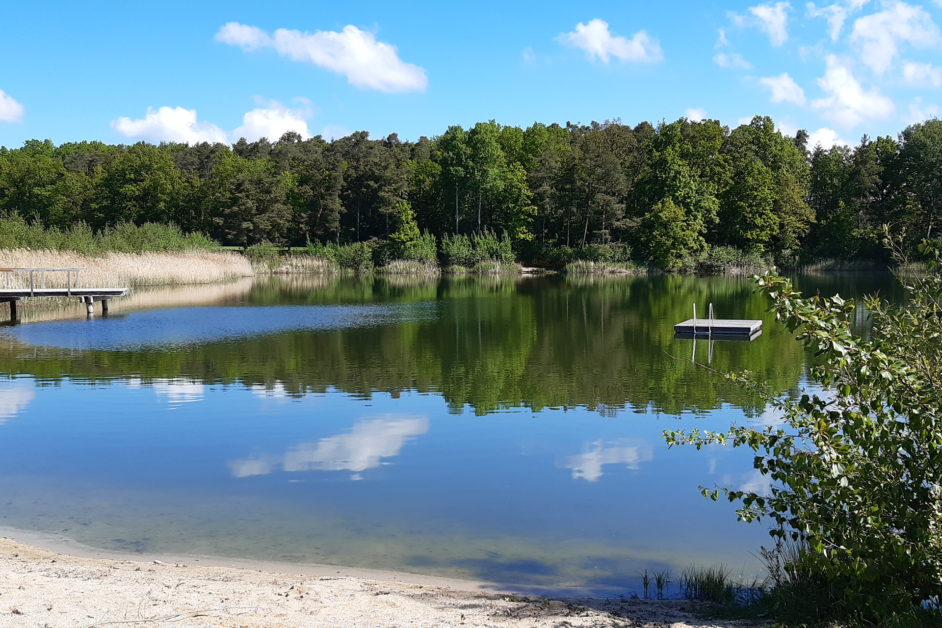 Forsterweiher | © Zweckverband Oberpfälzer Seenland